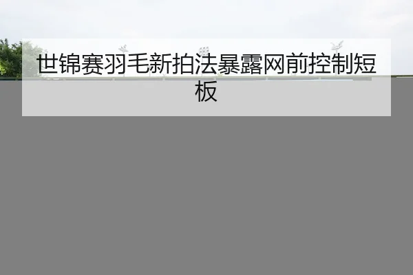 世锦赛羽毛新拍法暴露网前控制短板 | KAIYUN SPORTS